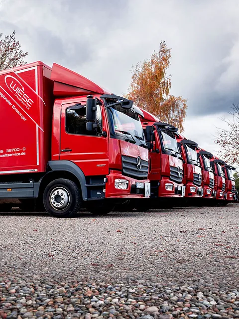 WIESE Umweltservice GmbH & Co. KG