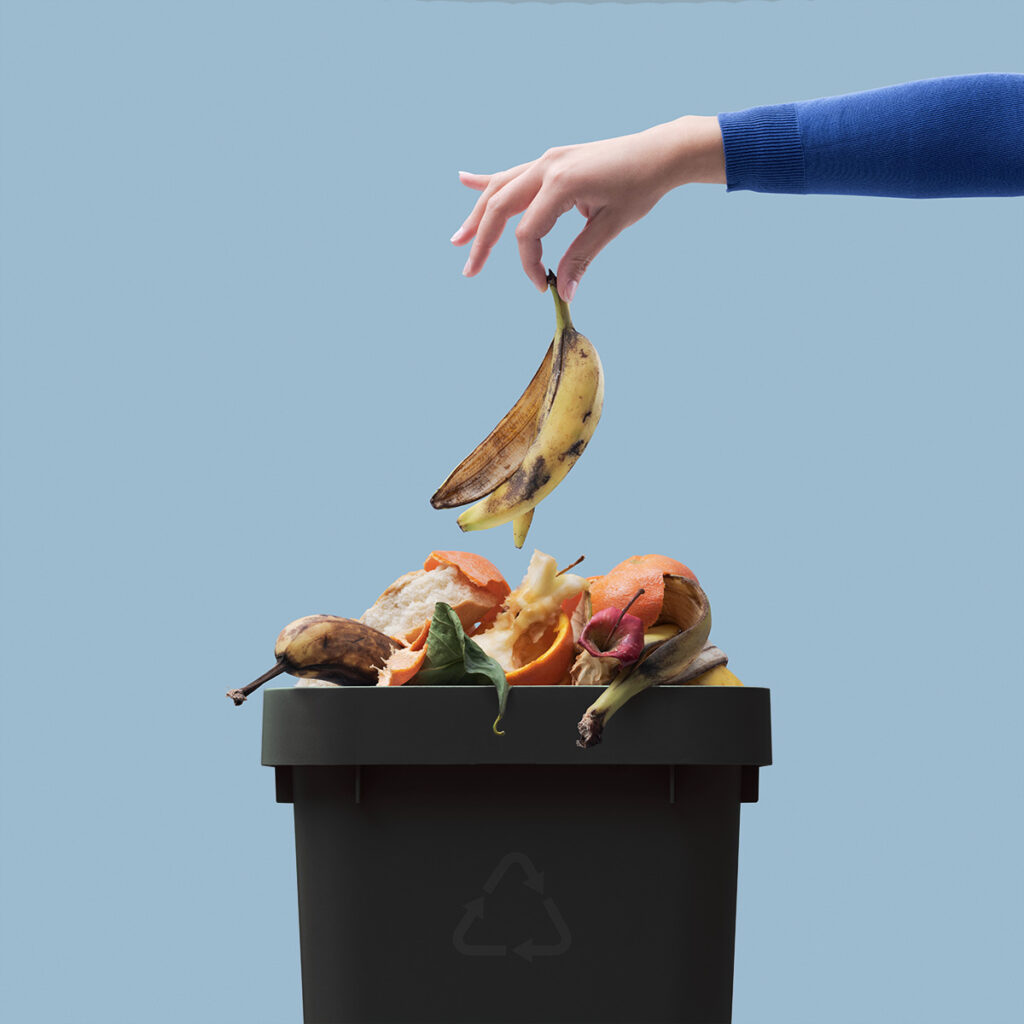 Was darf in die Tonne